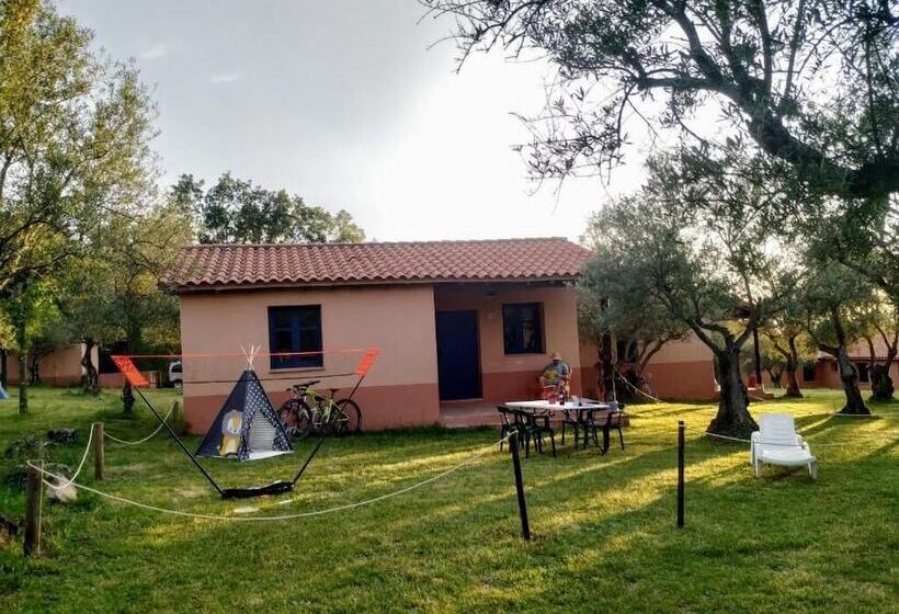 Apartamentos & Habitaciones Vetonia