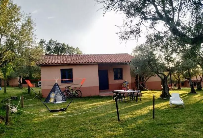 Apartamentos & Habitaciones Vetonia