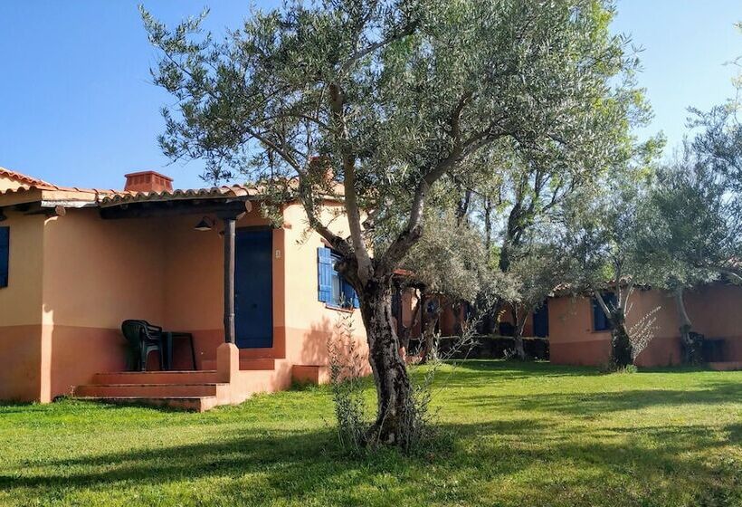 Apartamentos & Habitaciones Vetonia