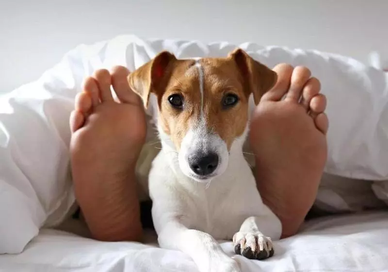 Residence Inn By Marriott Playa Del Carmen