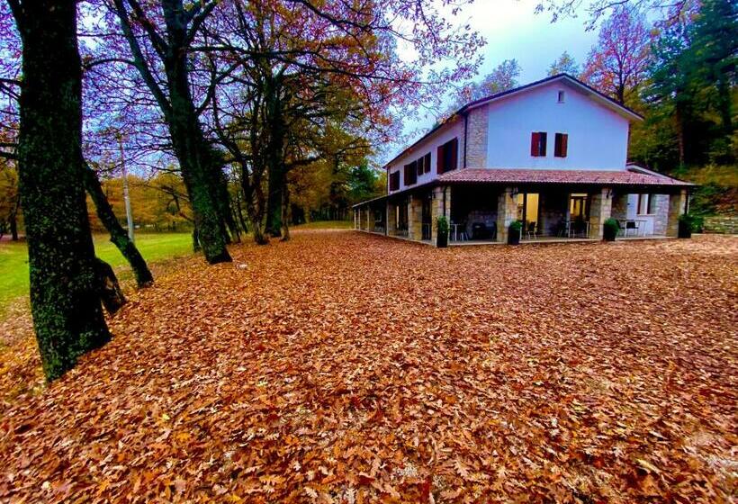 Отель Casa Del Pastore Rosello