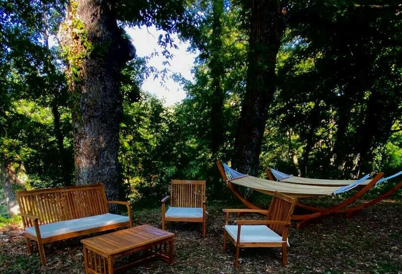 Отель Casa Del Pastore Rosello