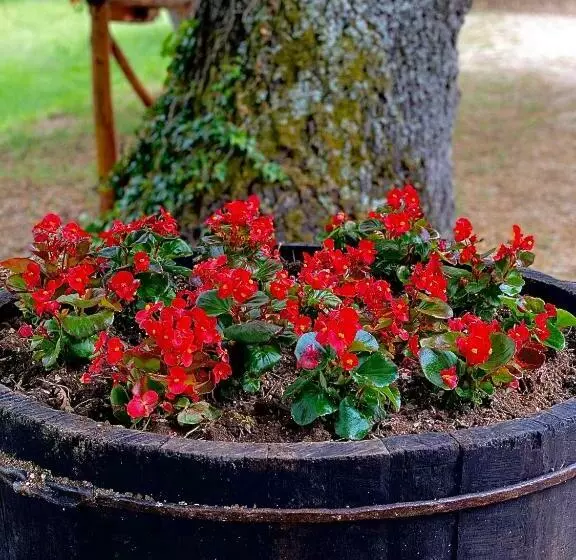 Hotelli Casa Del Pastore Rosello