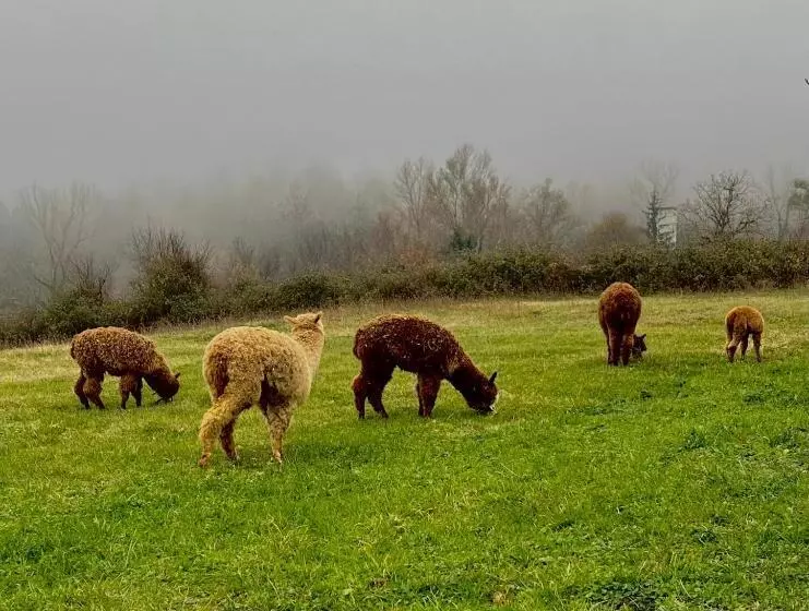 Hotelli Casa Del Pastore Rosello