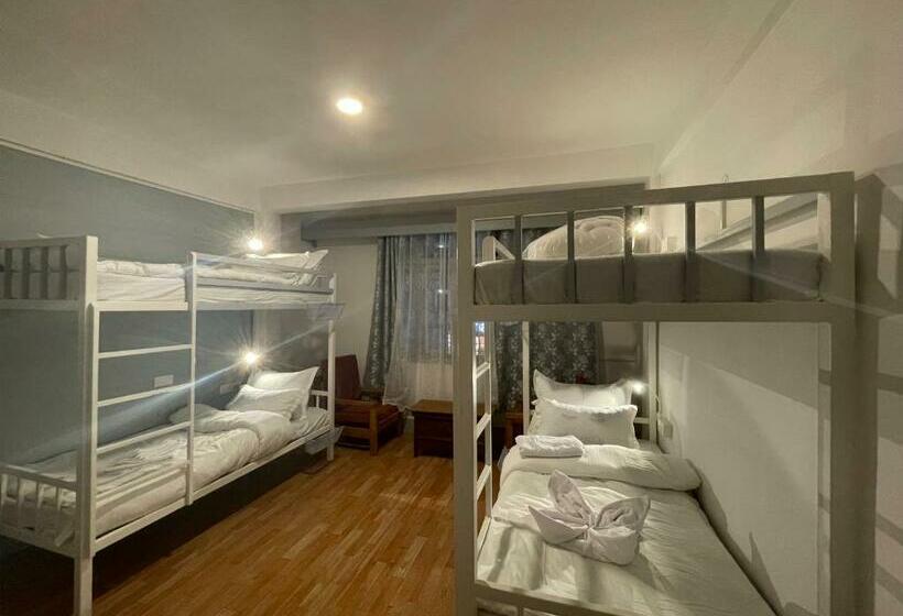 Mellow Fellow Hostel