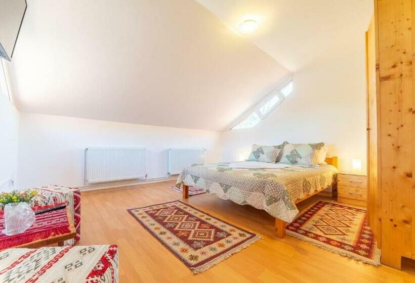 Pensiunea Baron Bazna