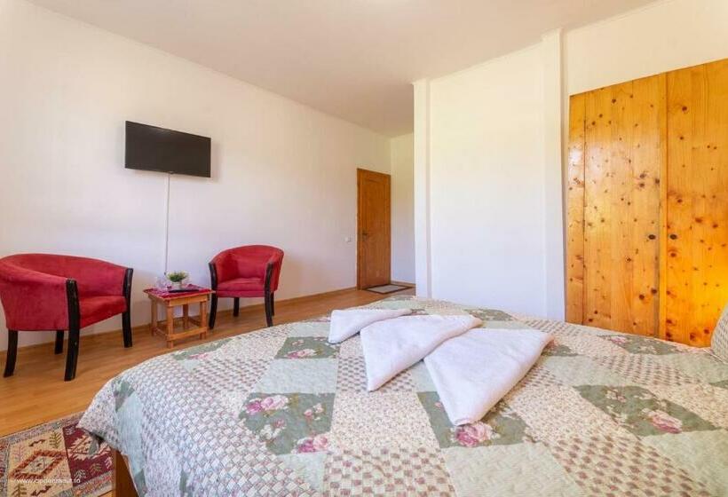 Pensiunea Baron Bazna