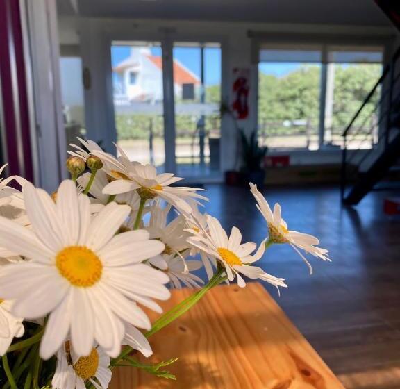 호텔 Container Cubo