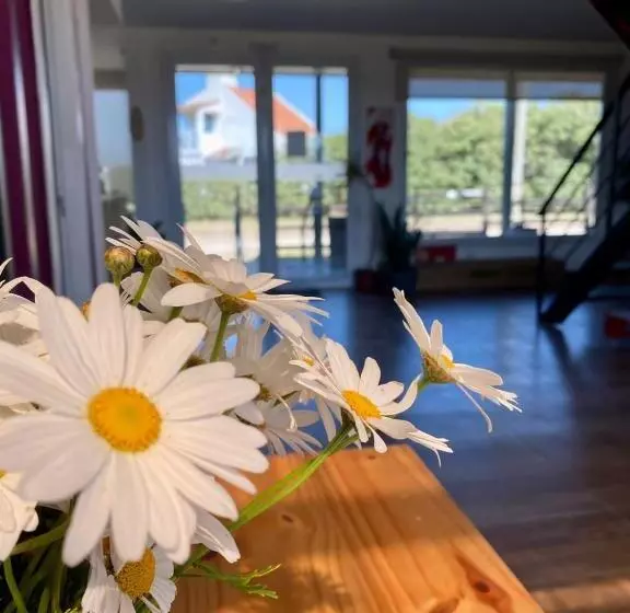 Hotelli Container Cubo