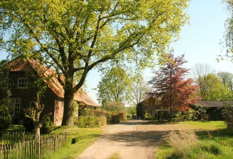 Huisje En B&b Green Cottage