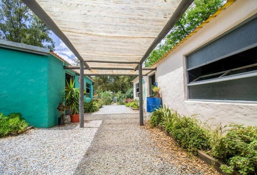 Mundaka Hostel Y Bar