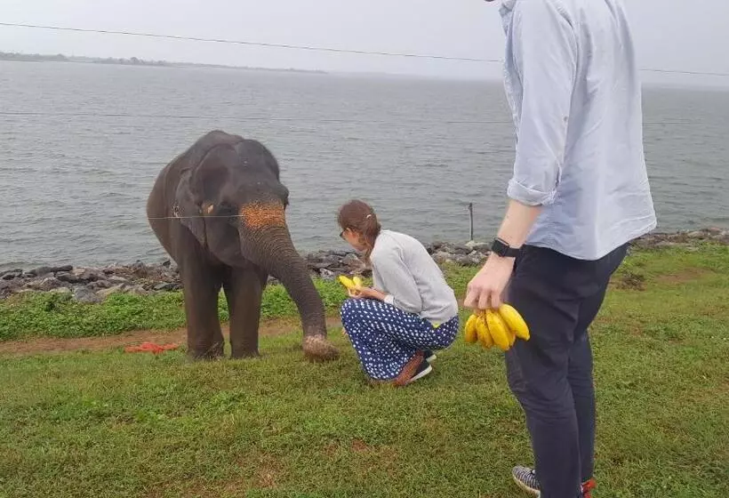 Majatalo Kuma Safari Lodge