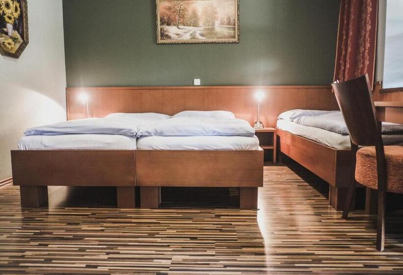 膳宿费 Penzion Trojkámen