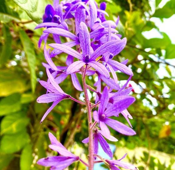 پانسیون Senthil Complex