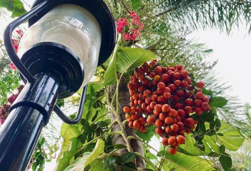 پانسیون Senthil Complex