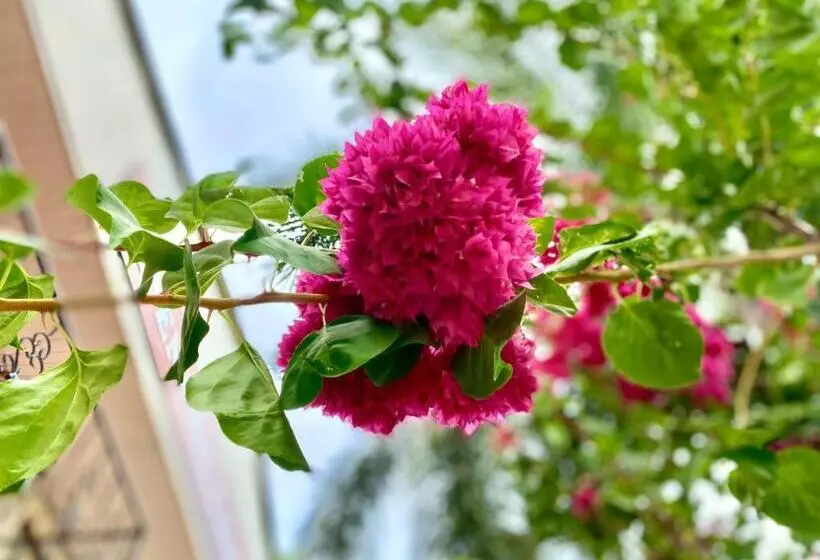 ペンション Senthil Complex