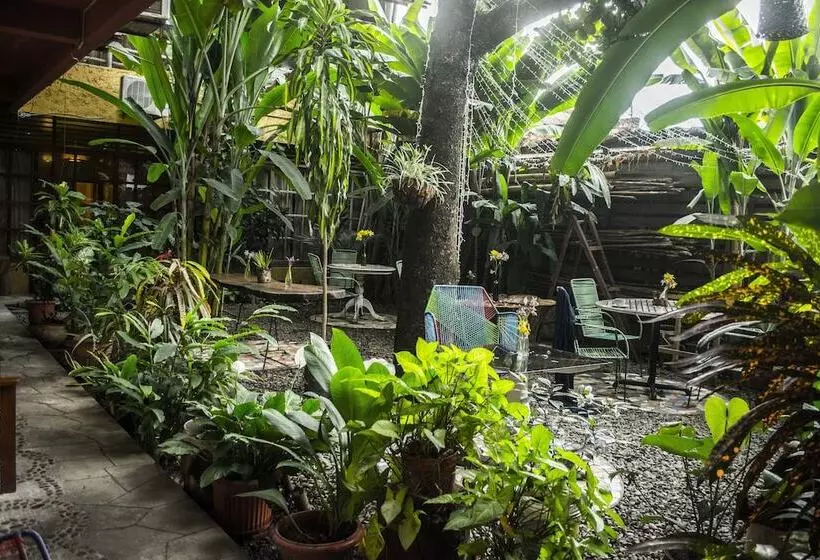 ホテル Casa De Palos Boutique