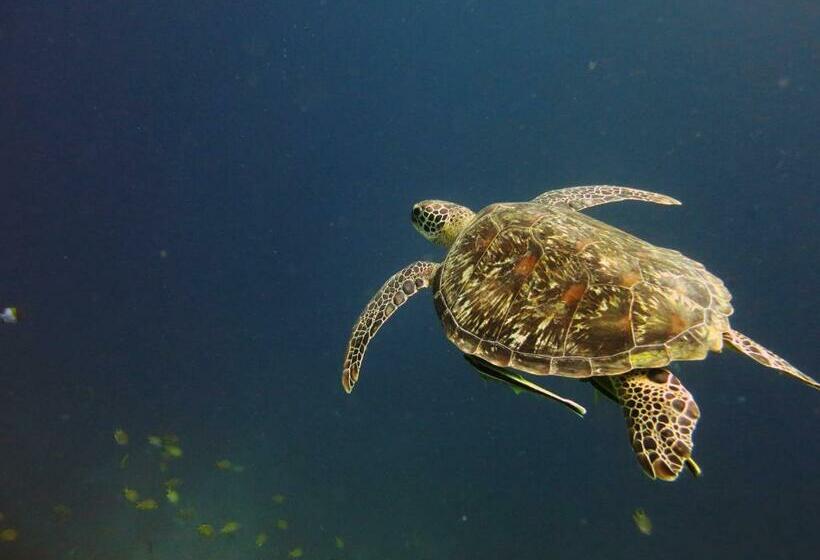 Пансион Van Karning Bungalow