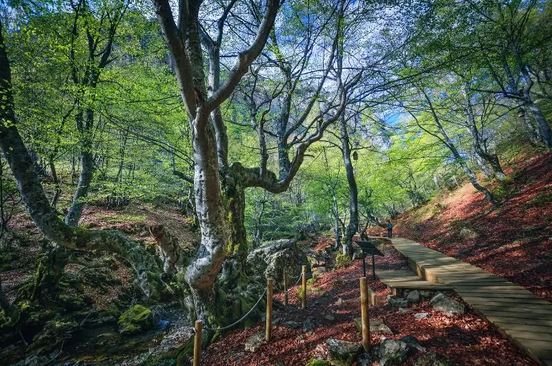 Casa Rural Aguas Frias Ii