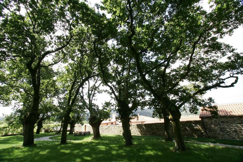 Casa Da Botica A Estrada