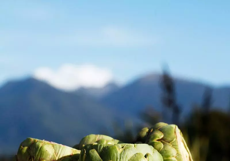 Отель Birds Ferry Lodge