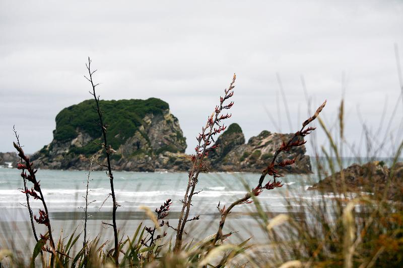 酒店 Birds Ferry Lodge