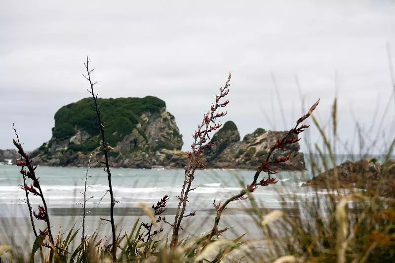 Отель Birds Ferry Lodge