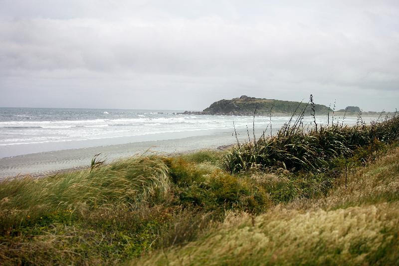 酒店 Birds Ferry Lodge