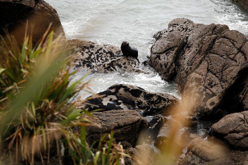 酒店 Birds Ferry Lodge