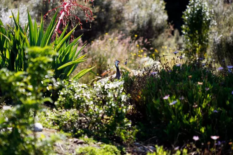 Отель Birds Ferry Lodge