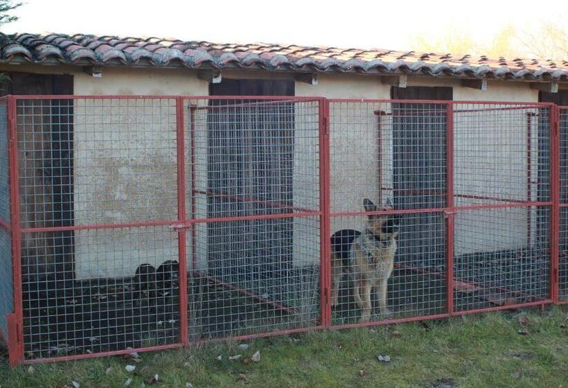 乡村酒店  El Jardin De La Huerta