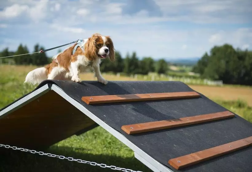 Hotell & Spa Larimar