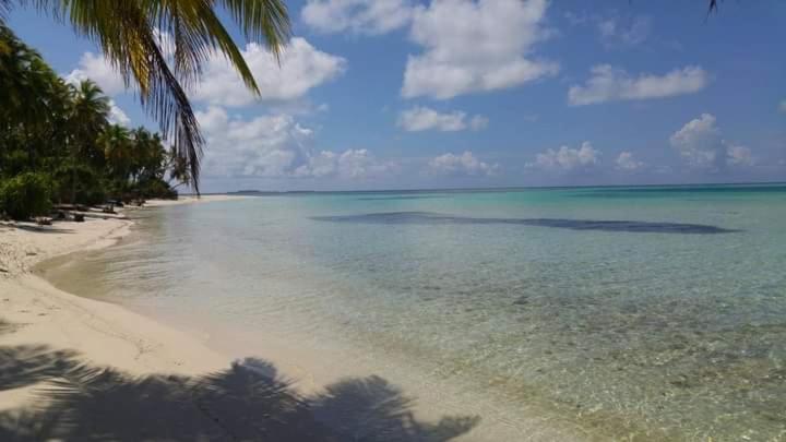 پانسیون Himandhoo Travel & Stays