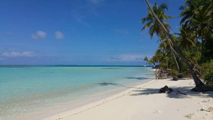 پانسیون Himandhoo Travel & Stays
