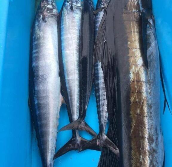 پانسیون Himandhoo Travel & Stays