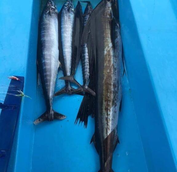 پانسیون Himandhoo Travel & Stays