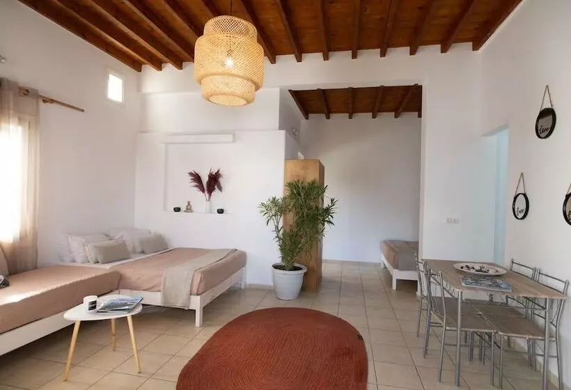 Dimelal Mikonos Downtown Apartments