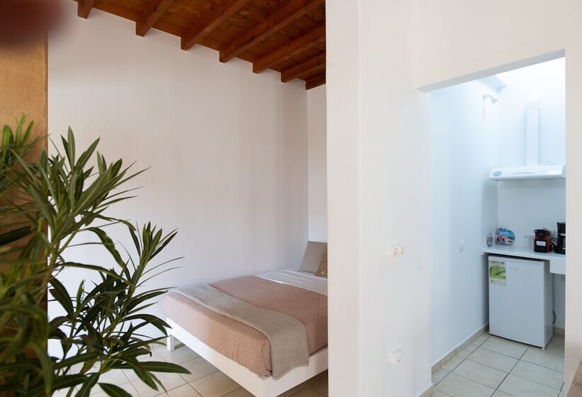 Dimelal Mikonos Downtown Apartments