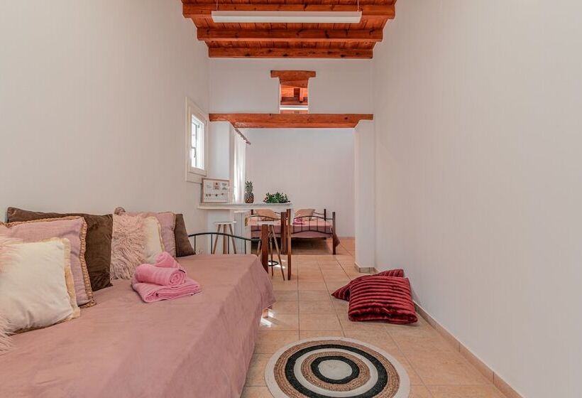 Dimelal Mikonos Downtown Apartments