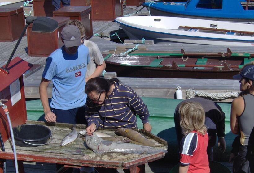 Otel Sotra Rorbusenter