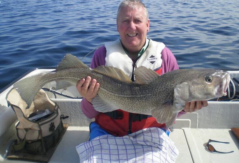 Otel Sotra Rorbusenter