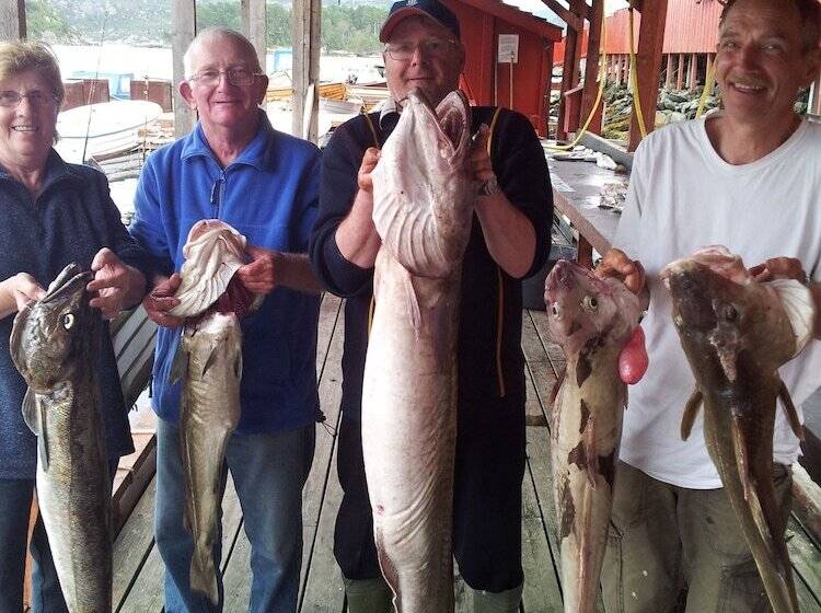 Otel Sotra Rorbusenter