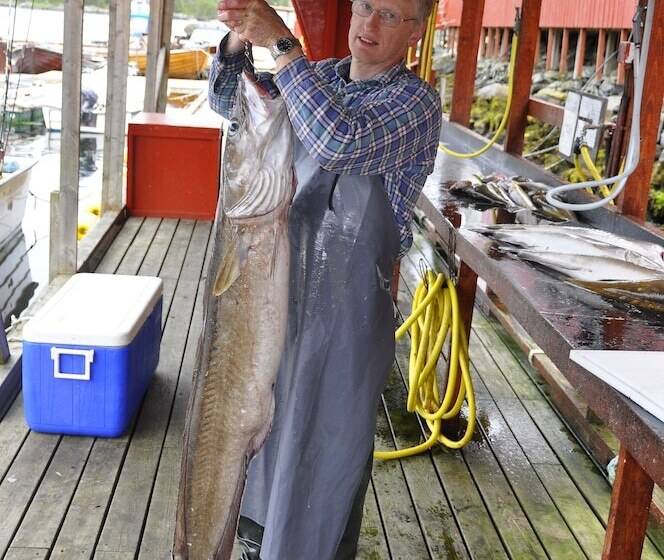 Otel Sotra Rorbusenter