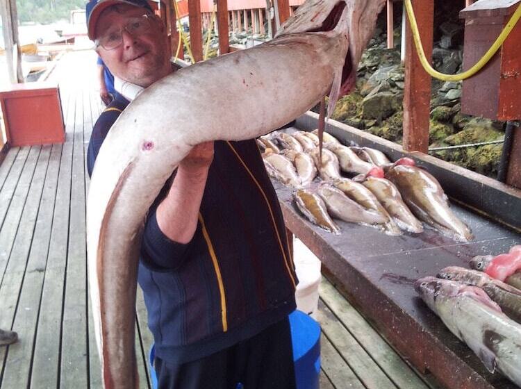 Otel Sotra Rorbusenter