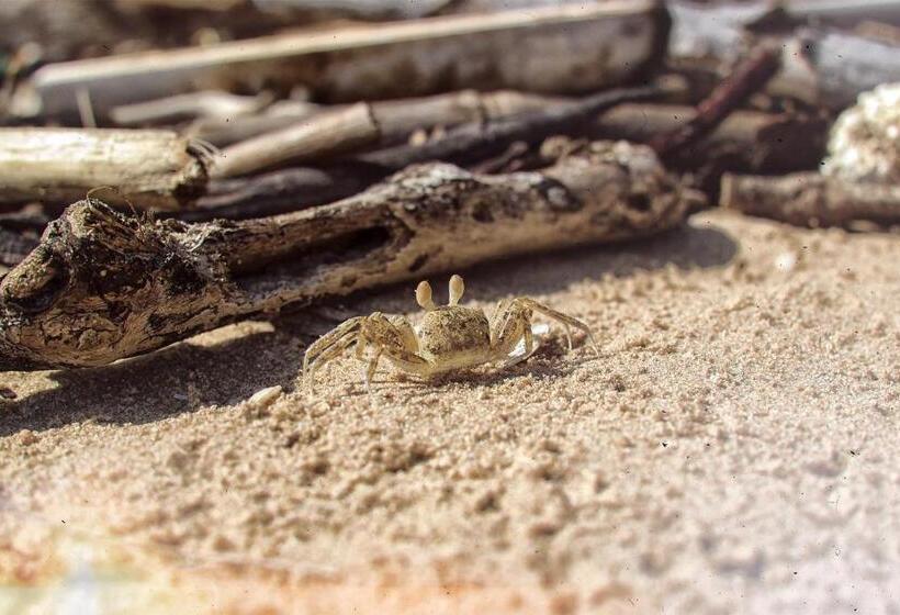 호텔 Baan I Talay Chumphon บ้านไอทะเลชุมพร