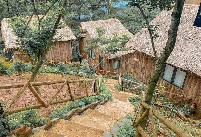 هتل Chillout Village Tam Dao