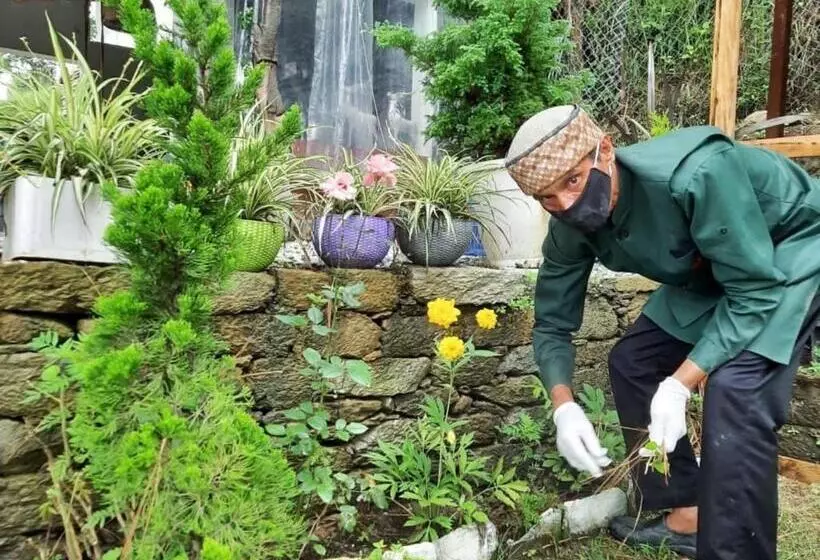 Hotelli Sukoon Nature Retreat Near Bhatrojkhan Ranikhet