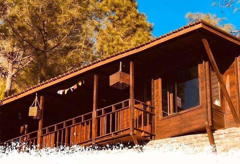 Hotel Sukoon Nature Retreat Near Bhatrojkhan Ranikhet