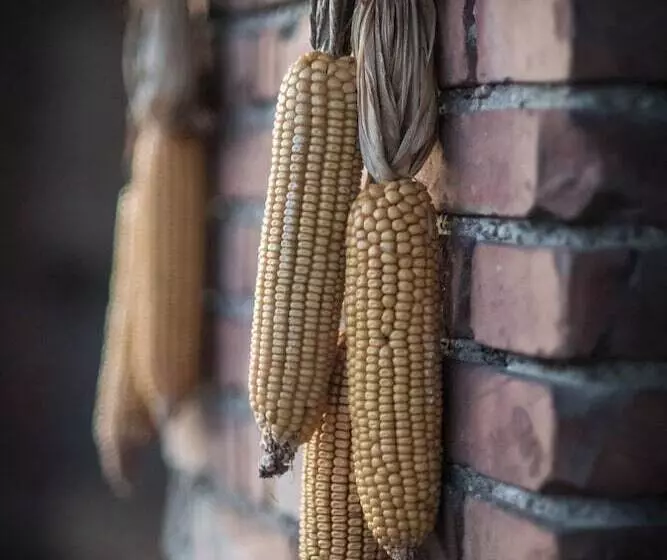 Agriturismo Beatilla