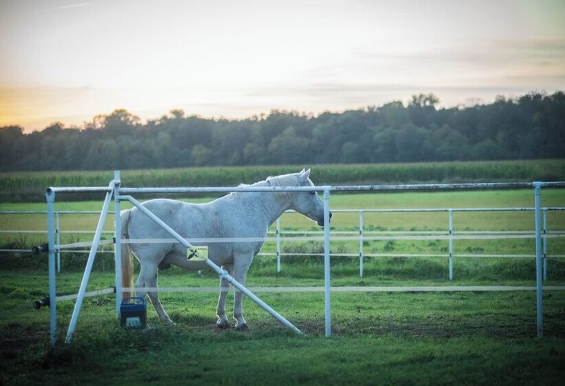 Agriturismo Beatilla